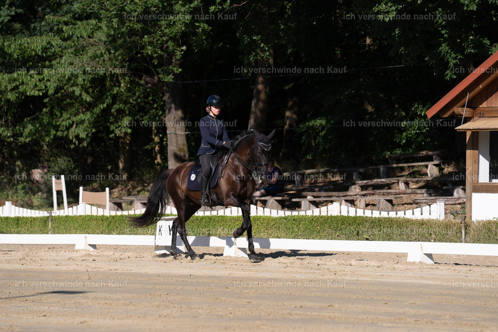 WM_DR_48_sinafilmart_IN04259 | working equitationturnier fotograf videograf stoibphotography marixx film working equitation deutschland reitsport turnierfotografie eventfotografie equestrian events