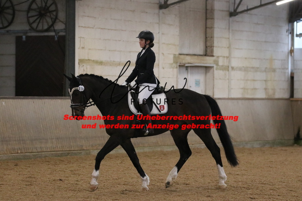 IMG_3537 | lmwpictures - Realisiert mit Pictrs.com