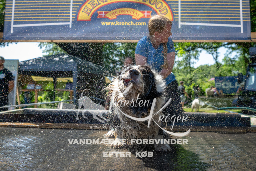 1245_ZZ92233 | kk-dogfotos