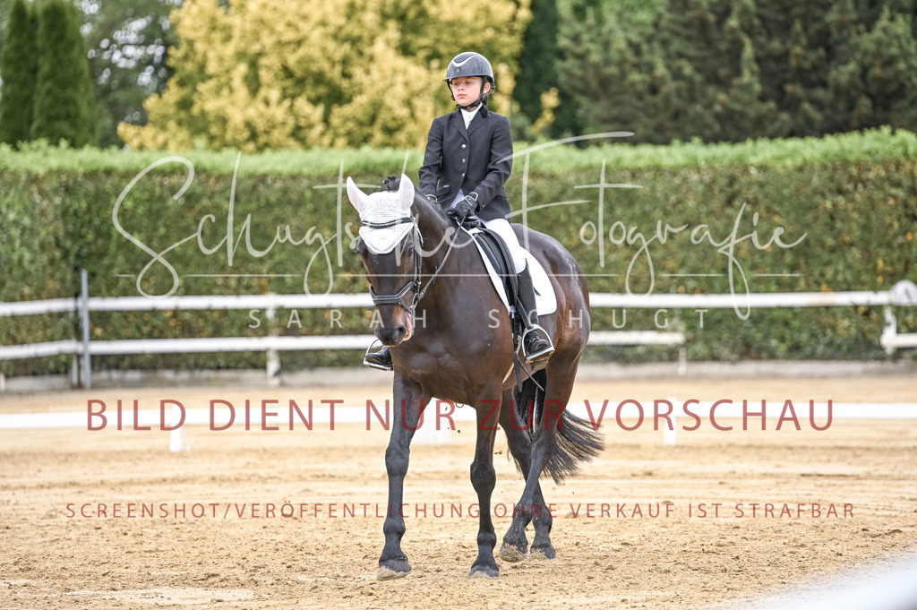Schugtsche-Aluta25-42.EDressur -179 | Schugtsche Fotografie - Realisiert mit Pictrs.com