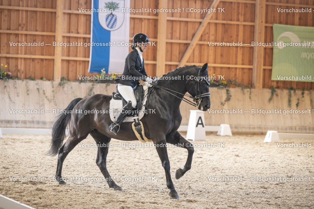 _D5A6079 | Emotionale Pferde- & People-Fotografie rund um Heidelberg, Leimen & Umgebung. Natürliche Fotos von Pferd, Mensch & Familie. Jetzt Termin sichern!