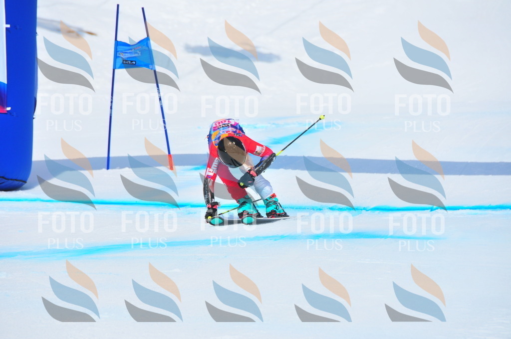 DSC_5454 | holidayphoto