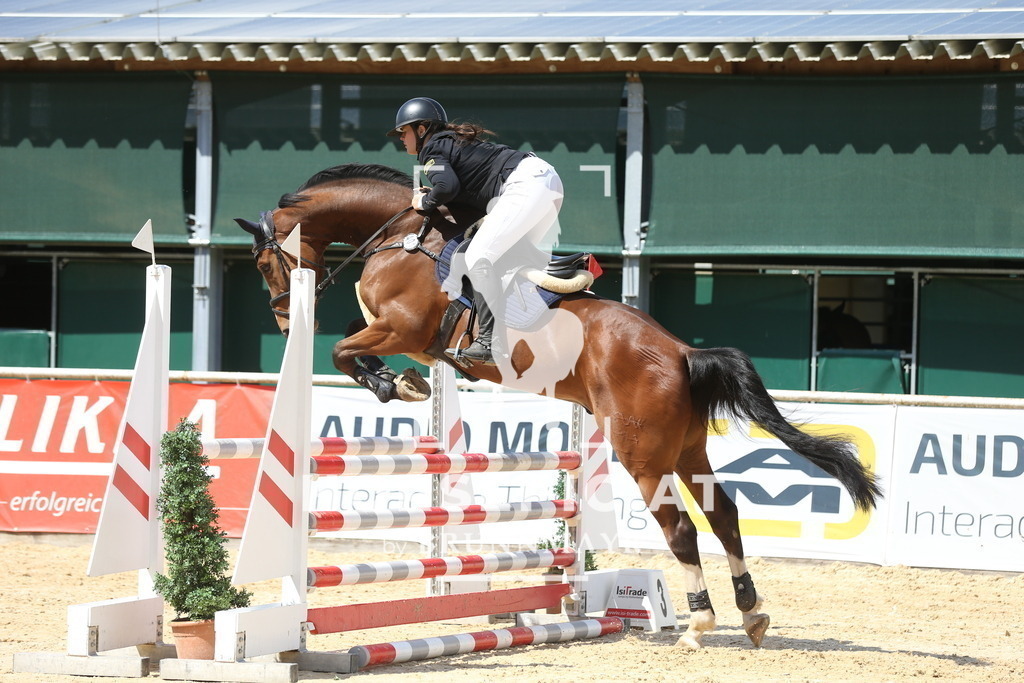 DL2Q6470 | Willkommen bei Brunnmayr - Design & Fotografie – Ihrem Spezialisten für Reitturniere und Pferdeveranstaltungen in Oberösterreich, Salzburg und Bayern! Seit über 17 Jahren sind wir leidenschaftlich dabei.
