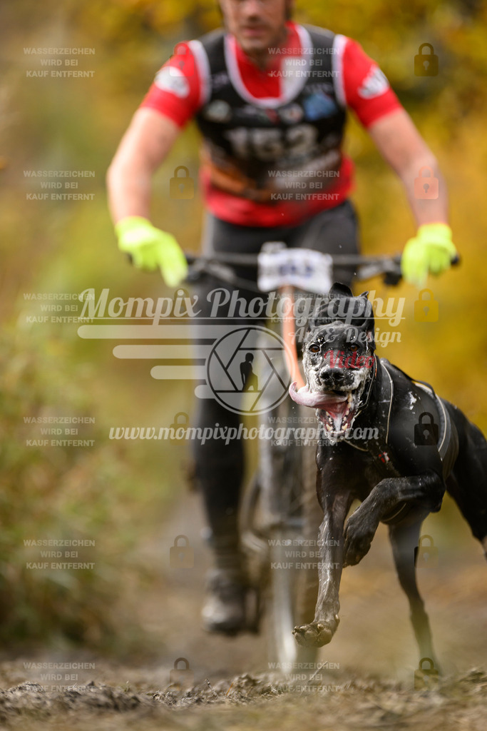 MompixPhotography_ICF_WC_2024_SA_Bike_-184 | PayLife