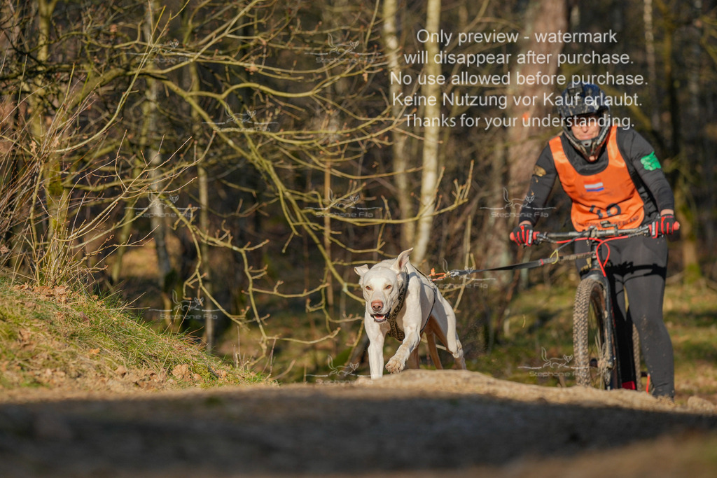 Sa_Scooter-207 | stephaniefillaphotographie - Realisiert mit Pictrs.com