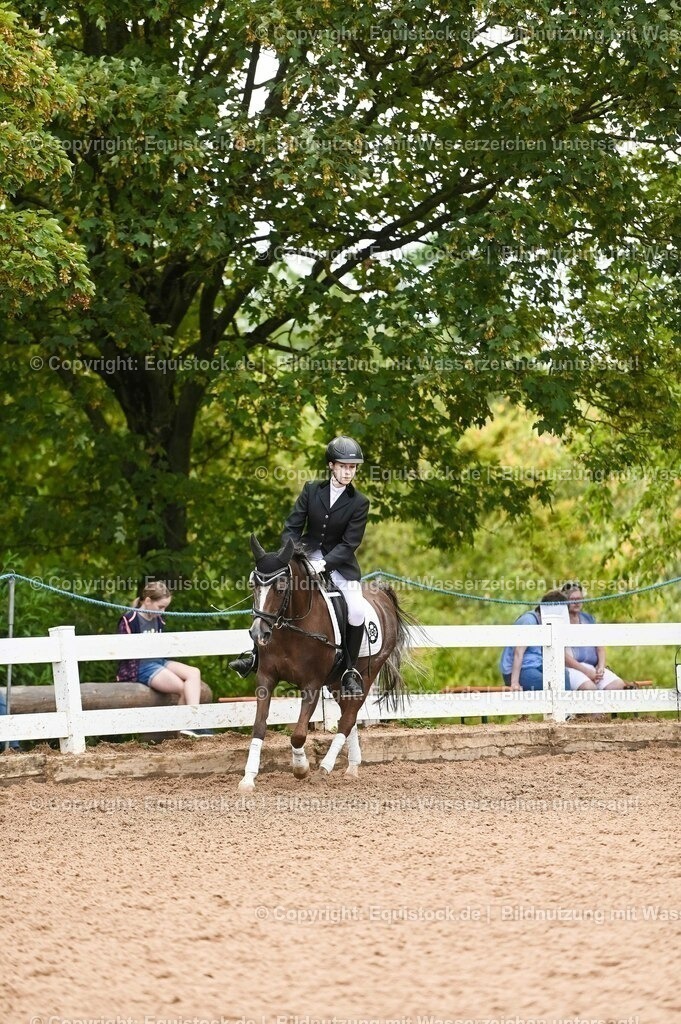 20230716_10-2_Reiter-WB Schritt - Trab - Galopp_0075 | equistock
