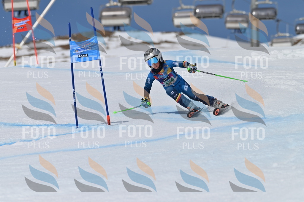 BGV_6613 | holidayphoto