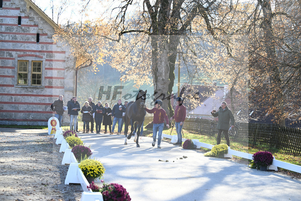 Impressionen_47250988 | hf-fotografie - Realisiert mit Pictrs.com