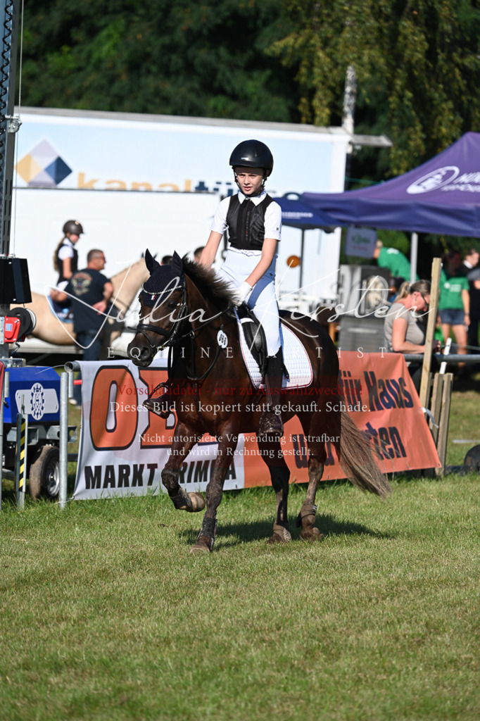 DSC_5003 | Pferde- und Turnierfotografie in Westsachsen. Pferdeportraits, Auftragszeichnungen und intuitive Kunst.