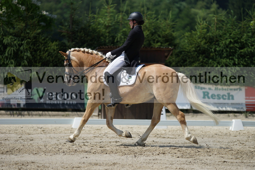 DSC05266 | equestrian-live-com