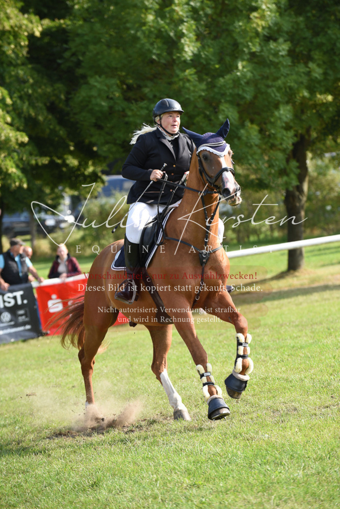 DSC_8702 | Pferde- und Turnierfotografie in Westsachsen. Pferdeportraits, Auftragszeichnungen und intuitive Kunst.