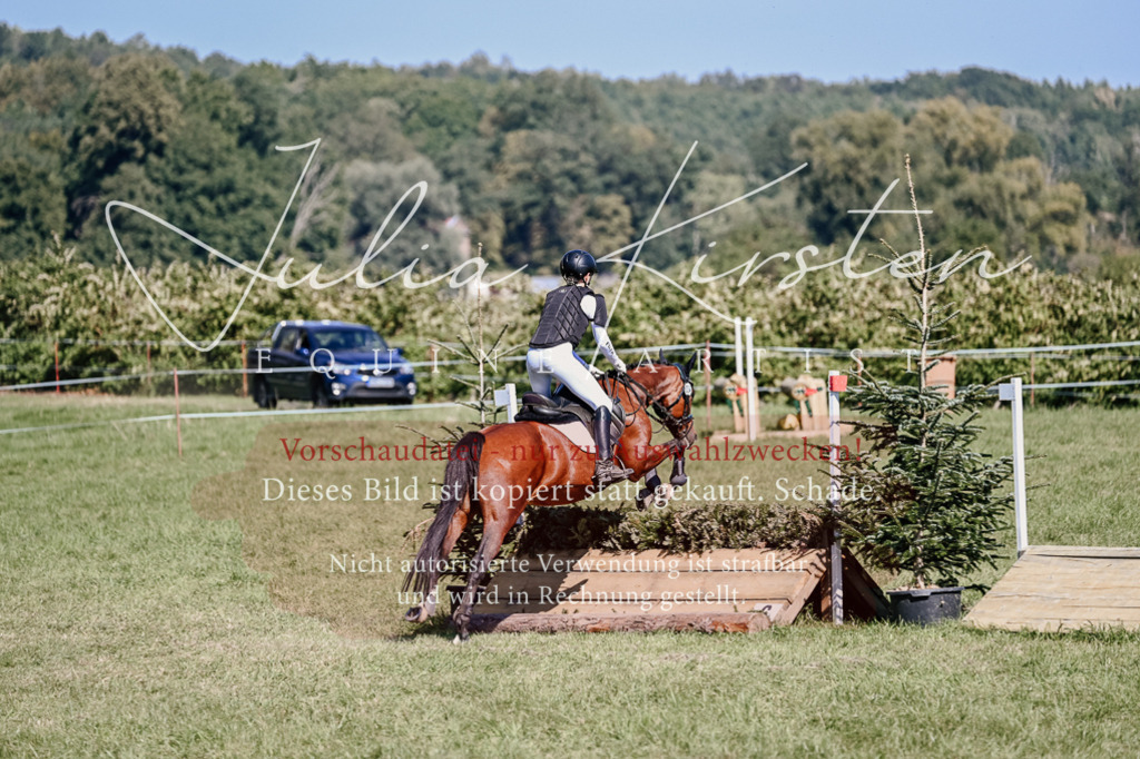 DSC_2823 | Pferde- und Turnierfotografie in Westsachsen. Pferdeportraits, Auftragszeichnungen und intuitive Kunst.