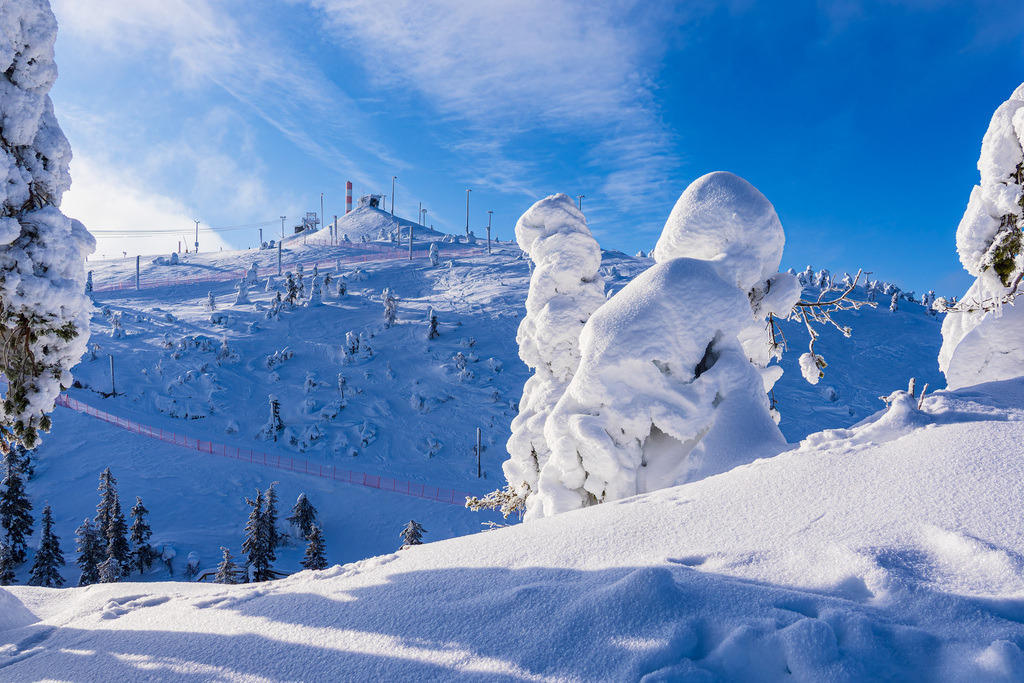 Landschaft mit Schnee und Bäumen im Winter in Ruka, Finnland | Landschaft mit Schnee und Bäumen im Winter in Ruka, Finnland.
