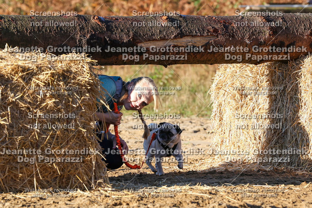 Dog Paparazzi - Strongdog 10-25-1230 | Dog Paparazzi Jeanette Grottendiek Fotografie & Videografie - Realisiert mit Pictrs.com