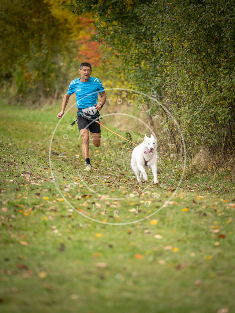 Pfotenfotografie_DV3A3311 | Hundefotografie, Tierfotograf, Pfotenfotografie, Fotoshooting Hund, Hunde Portrait, Hundesport, Hundeportraits, Heideshooting, Hunde, Sportfotograf, Hundefotograf, Turnierhundsport, THS,  - Realisiert mit Pictrs.com