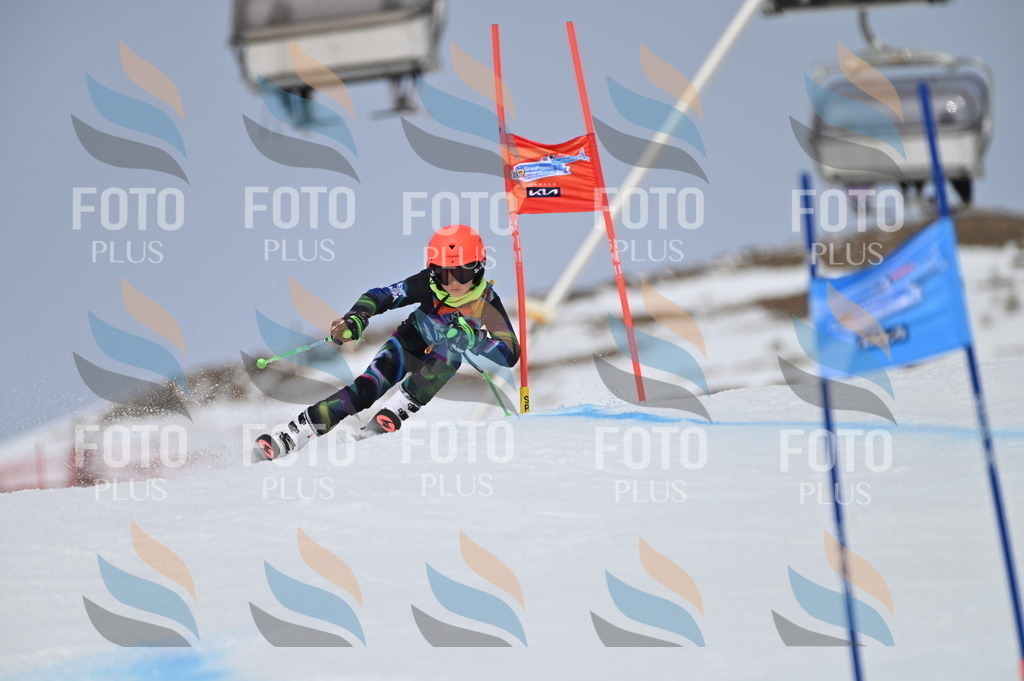 BGV_4448 | holidayphoto