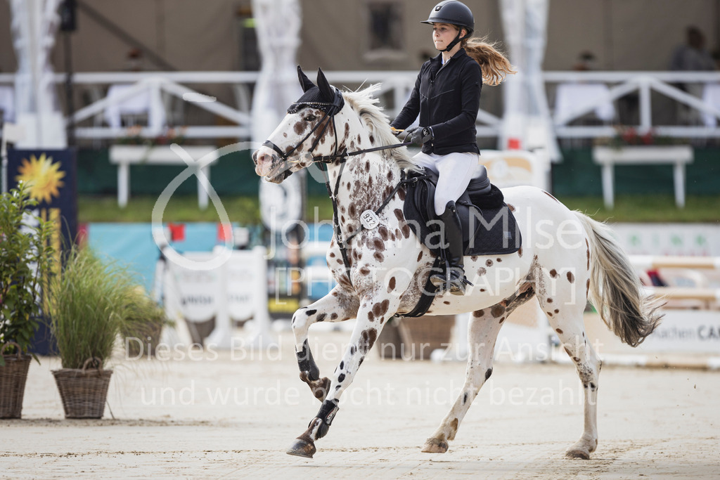 250713_BHO_Spring-WB-500 | Deine schönsten Turniermomente als professionelle Fotos! Entdecke hochwertige Pferdesport-Fotografie im Online-Shop. Jetzt Fotos finden & bestellen!