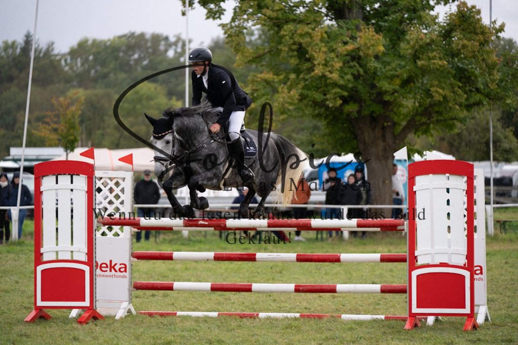 A7V07519 | Pferdefotograf