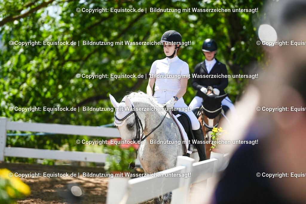 20230715_09_Dressur-WB_0328 | equistock