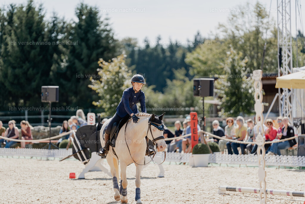 Nici11_FHC2025-08550 | working equitationturnier fotograf videograf stoibphotography marixx film working equitation deutschland reitsport turnierfotografie eventfotografie equestrian events