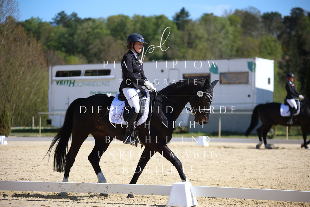 IMGT1818 | pl-fotografie