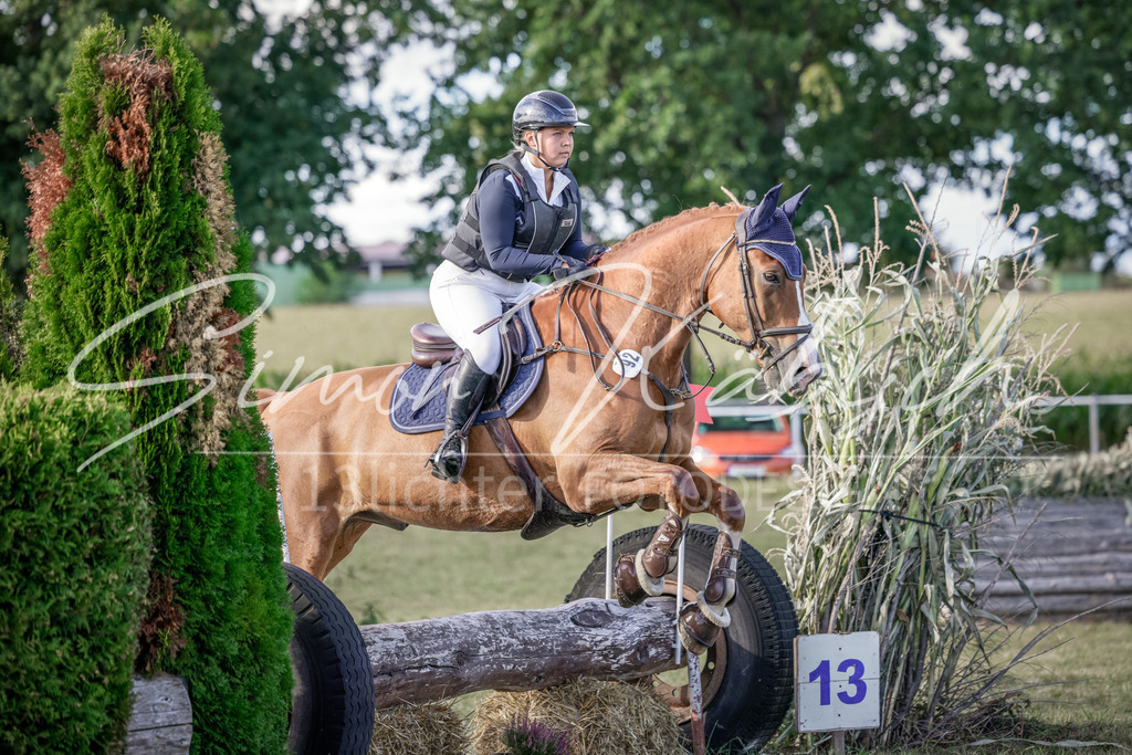 20250906-_3LI7459 | Tierfotografie Pferde, Hunde, Katzen, Haustiere.
Turnierfotografie Reitturniere, Reiten, Springreiten, Dressur in Hanau, dem Main-Kinzig-Kreis und dem Rhein-Main- Gebiet um Frankfurt
