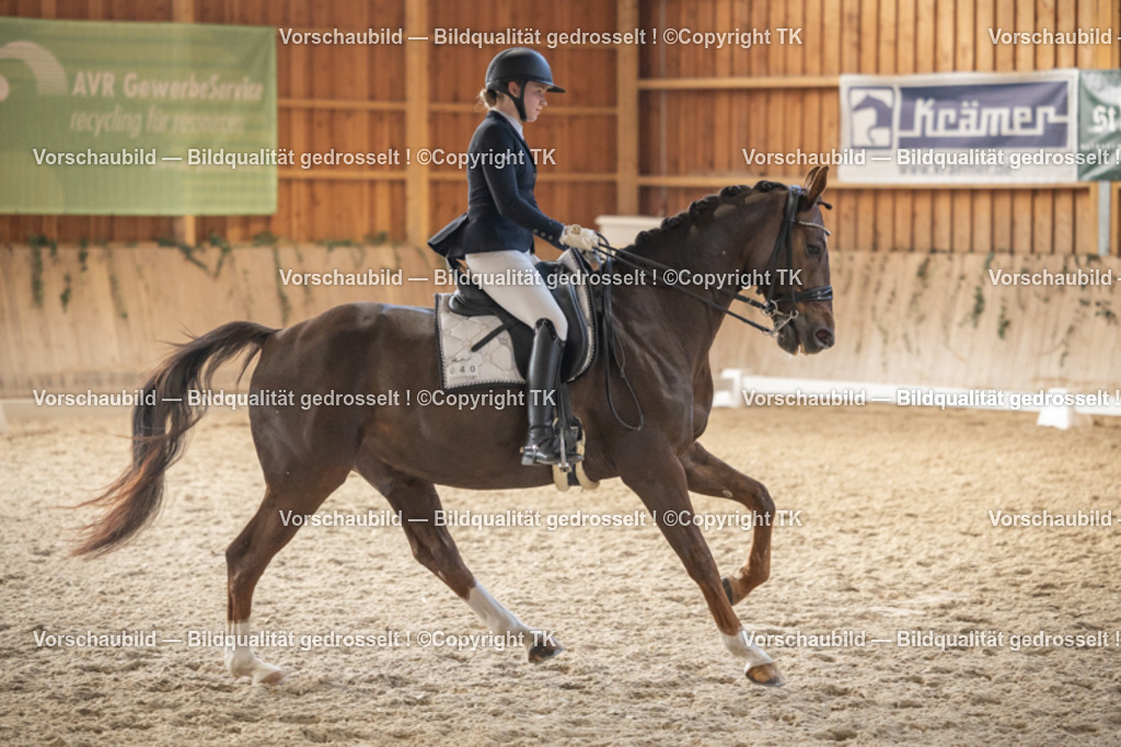 _D5A6288 | Emotionale Pferde- & People-Fotografie rund um Heidelberg, Leimen & Umgebung. Natürliche Fotos von Pferd, Mensch & Familie. Jetzt Termin sichern!