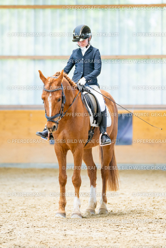 DSC08317 | Pferdegrafie