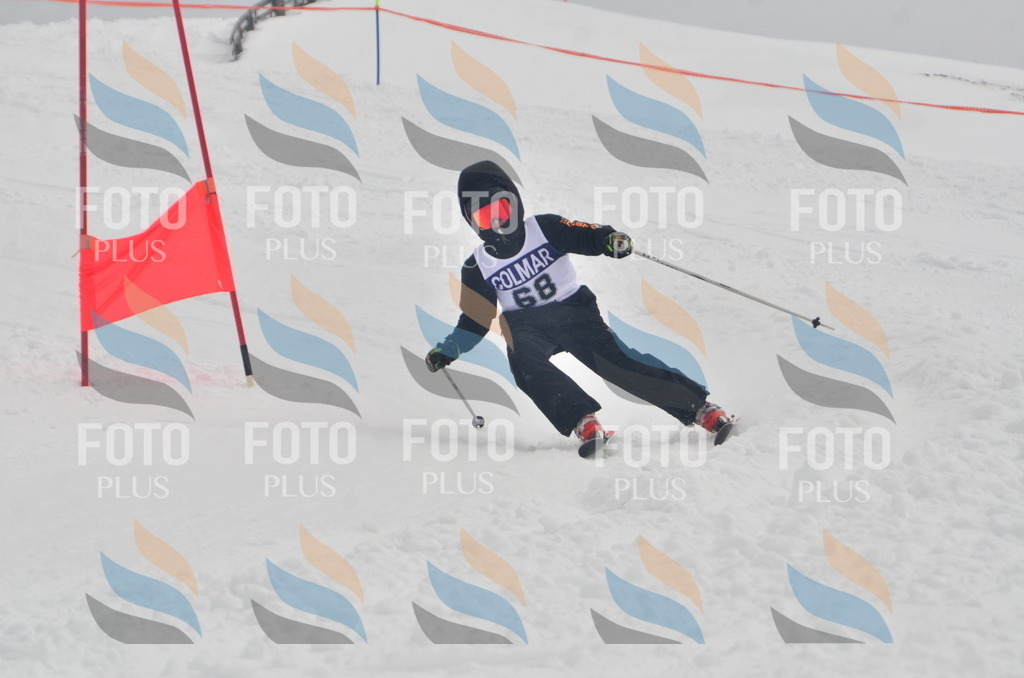 A5687 | holidayphoto