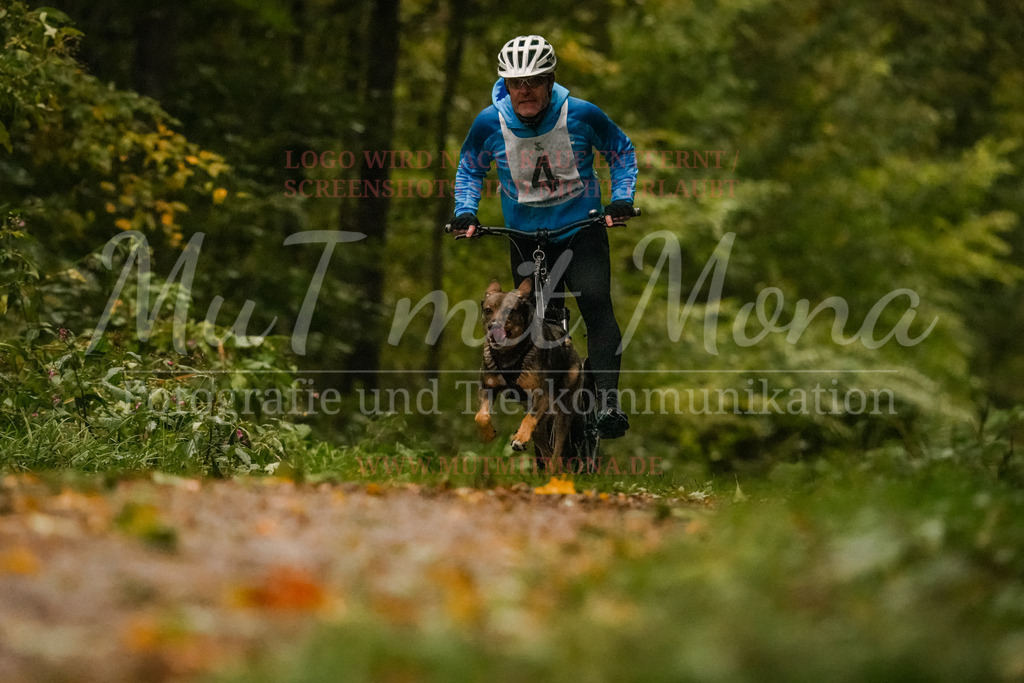 20251005_THS_Turnier-85 | MuT (Mensch und Tier) mit Mona - Fotografie und Tierkommunikation - Realisiert mit Pictrs.com