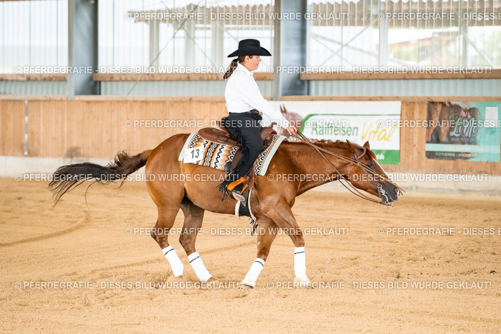 DSC02372 | Pferdegrafie