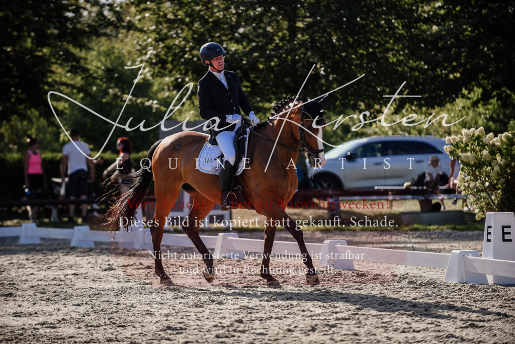 DSC_0594 | Pferde- und Turnierfotografie in Westsachsen. Pferdeportraits, Auftragszeichnungen und intuitive Kunst.