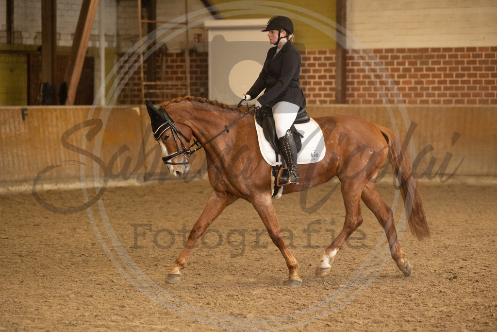 994A9256 | sabrinanicolaifotografie - Realisiert mit Pictrs.com