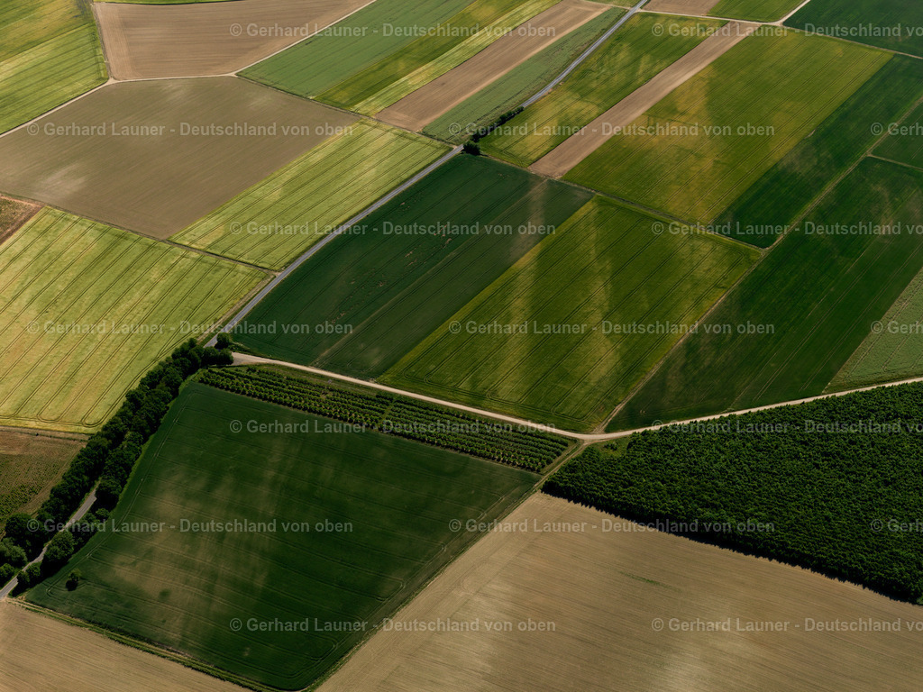 Feldstrukturen-Düngenheim-3114203 | Feldstrukturen bei Düngenheim