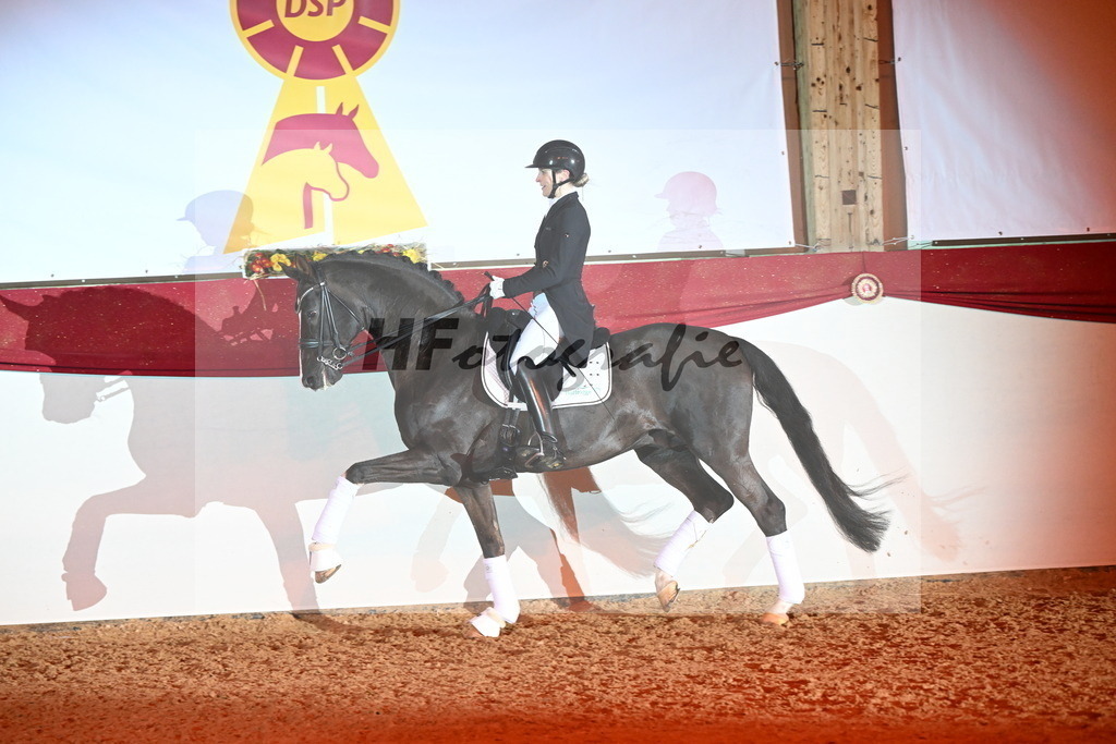 Bonds_Hoffrogge_3262928 | hf-fotografie - Realisiert mit Pictrs.com