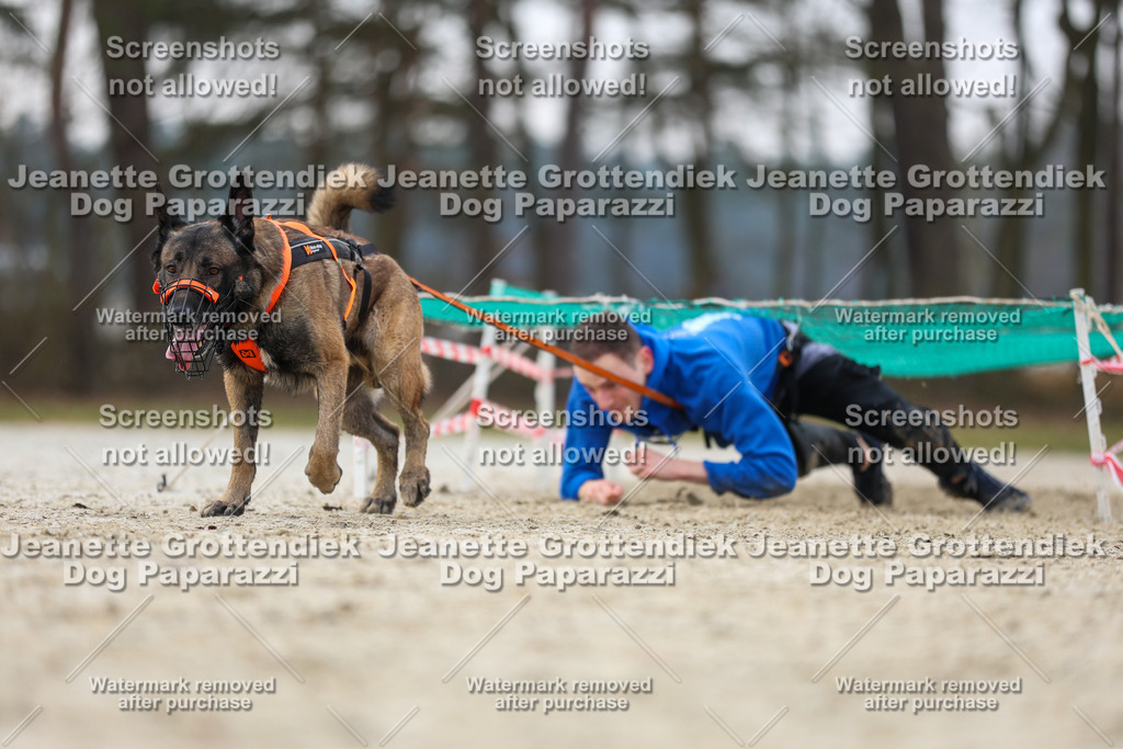 Dog Paparazzi - Strongdog North Mrz26-4539 | Dog Paparazzi Jeanette Grottendiek Fotografie & Videografie - Realisiert mit Pictrs.com