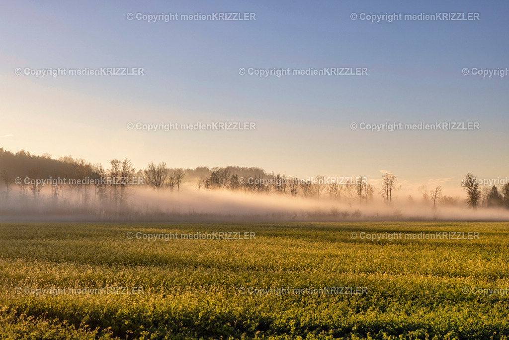 _J3A9199 | medienkrizzler - Realisiert mit Pictrs.com