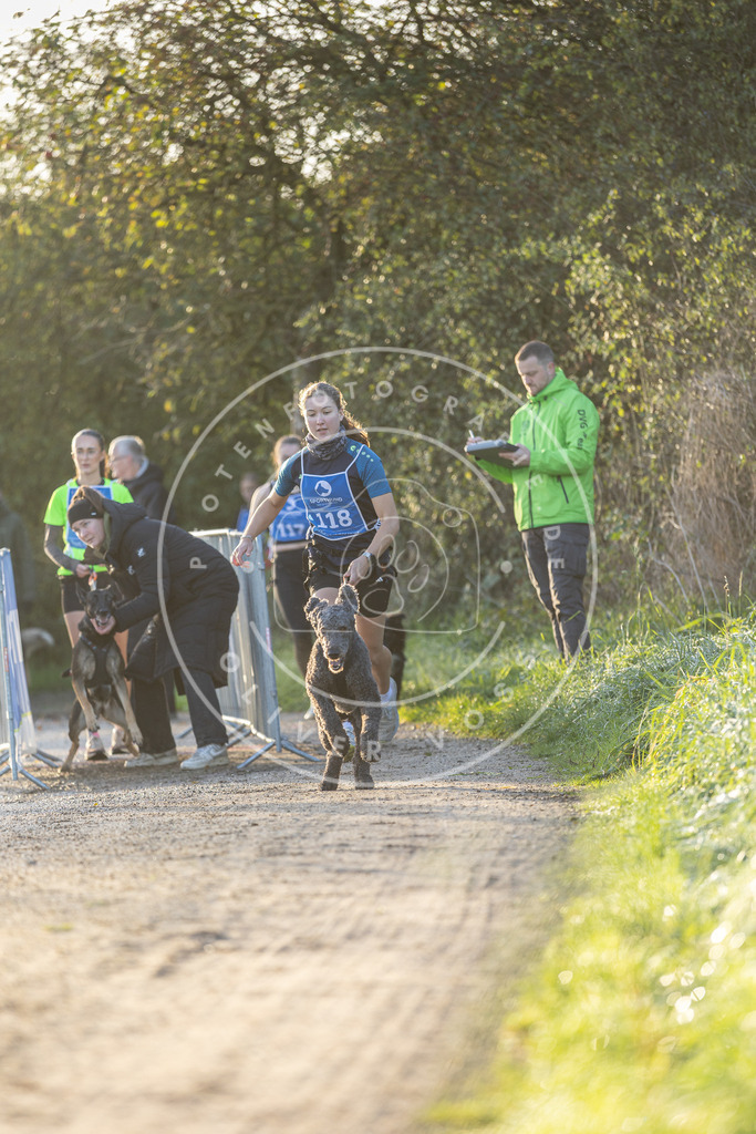 Pfotenfotografie.de_DV3A2423 | Hundefotografie, Tierfotograf, Pfotenfotografie, Fotoshooting Hund, Hunde Portrait, Hundesport, Hundeportraits, Heideshooting, Hunde, Sportfotograf, Hundefotograf, Turnierhundsport, THS, canicross - Realisiert mit Pictrs.com