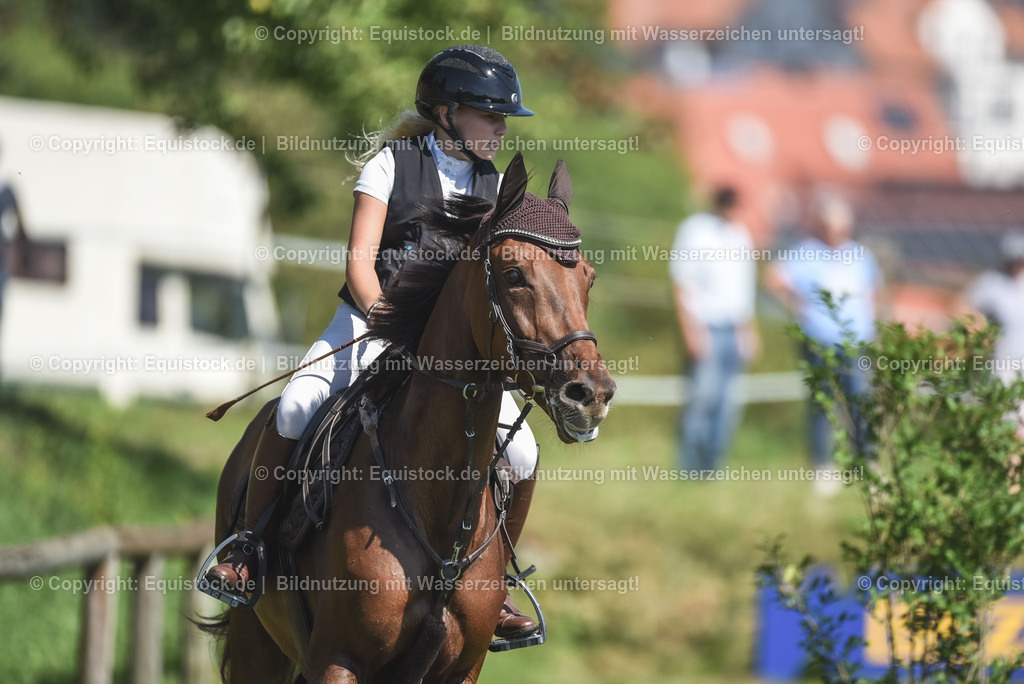 20230909_18_Springen_L_KSK-Böblingen_0133 | Foto: Thomas Hartig