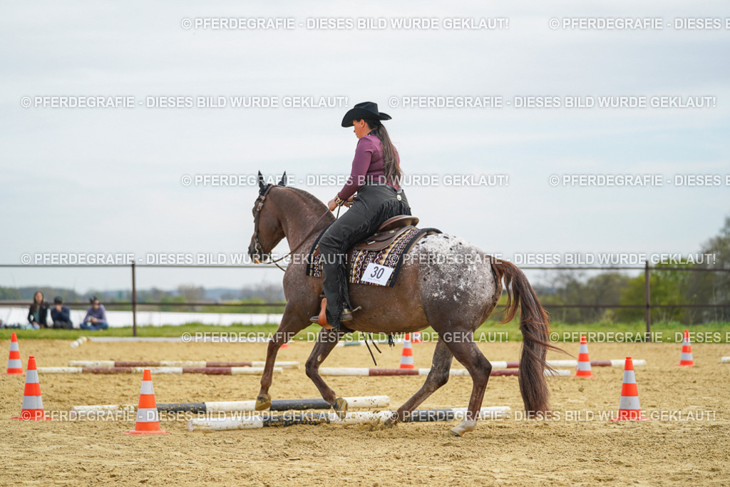 DSC03503 | Pferdegrafie