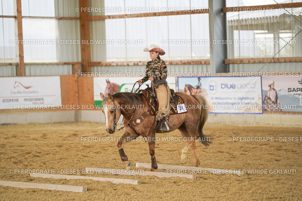 DSC03361 | Pferdegrafie