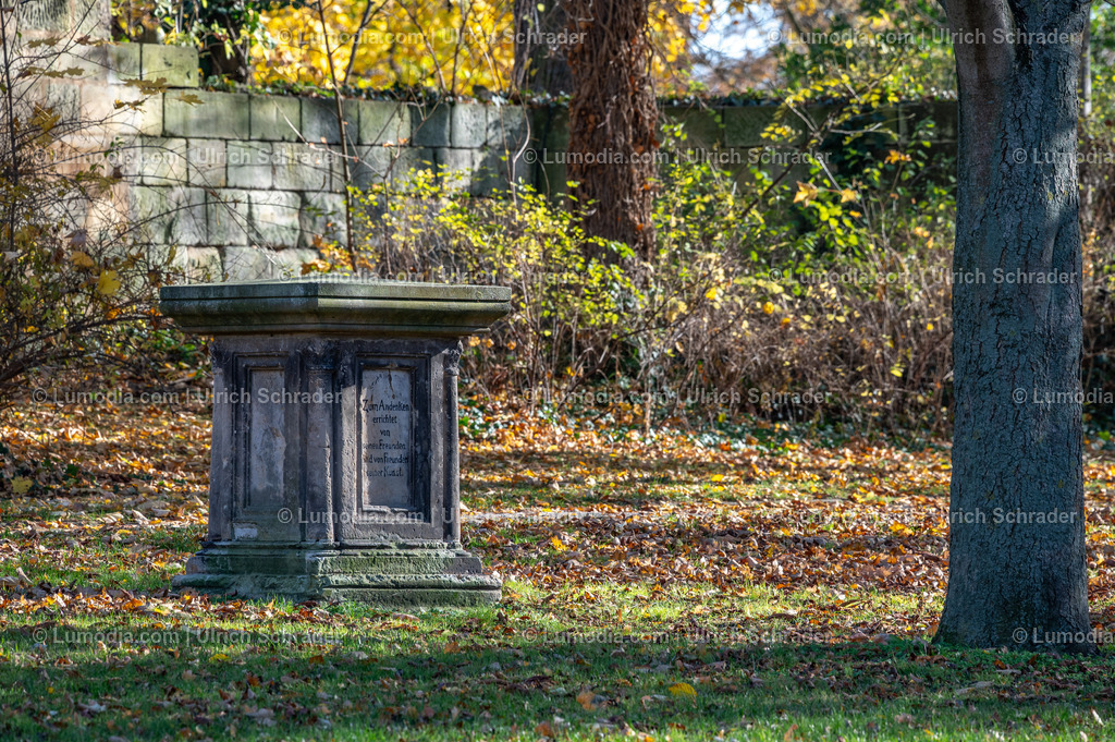 10049-13831 - In der Platage - Halberstatd | Stockfoto und Bilderpool mit Bildmaterial aus Deutschland, dem Harz, Halberstadt, Quedlinburg, Wernigerode und weltweit. Qualitativ hochwertige und professionelle Fotos anschauen und kaufen. - Realisiert mit Pictrs.com