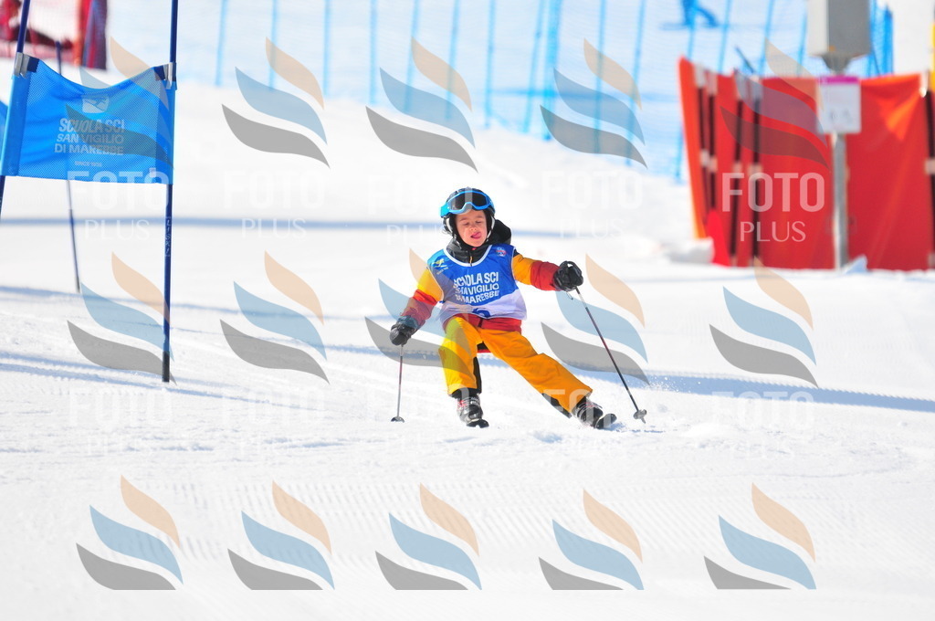 B9041 | holidayphoto