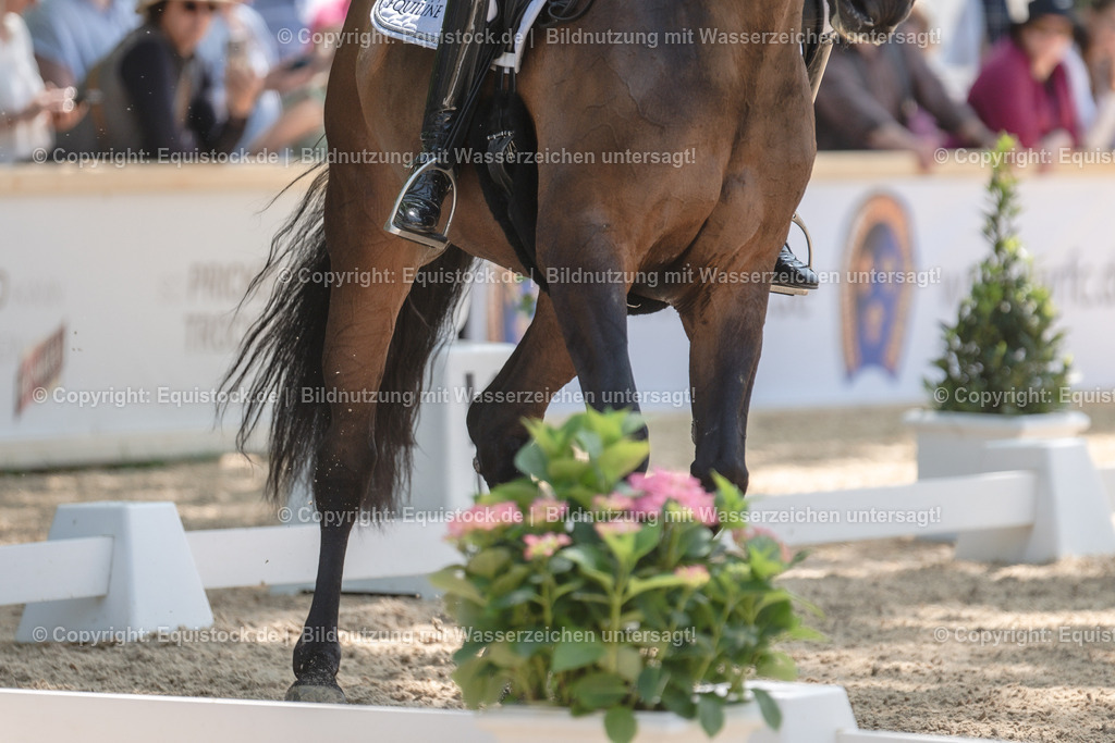 20230527_01_GP-Kür-Tour_0291 | equistock