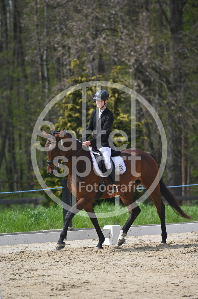 DSC_3392 | sattelsport - Realisiert mit Pictrs.com