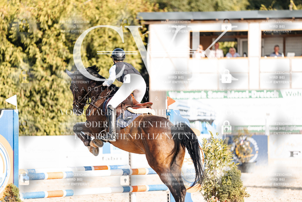 CK909560 | Turnierfotografie Pferdefotografie Trier Rheinland-Pfalz Pferdesport Reitsport Tierfotografie Sportfotografie Pferdevideo Pferdevideografie Equestrianvideography equestrianphotography  - Realisiert mit Pictrs.com