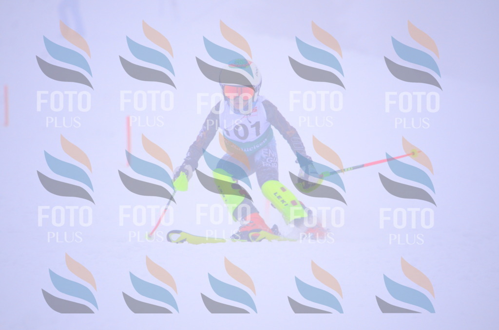 A4453 | holidayphoto