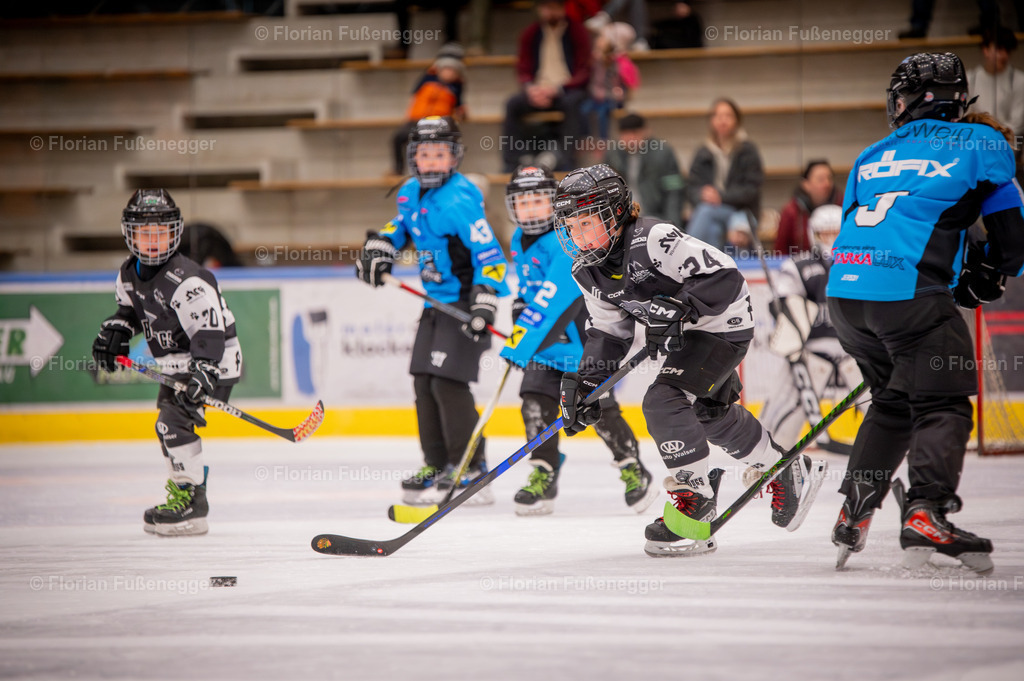 DSC_3111 | "Fussifoto.com – Ihr Ansprechpartner für hochwertige Fotografie! Entdecken Sie kreative Bilder und professionelle Dienstleistungen. Kontaktieren Sie uns für Ihre Projekte!"