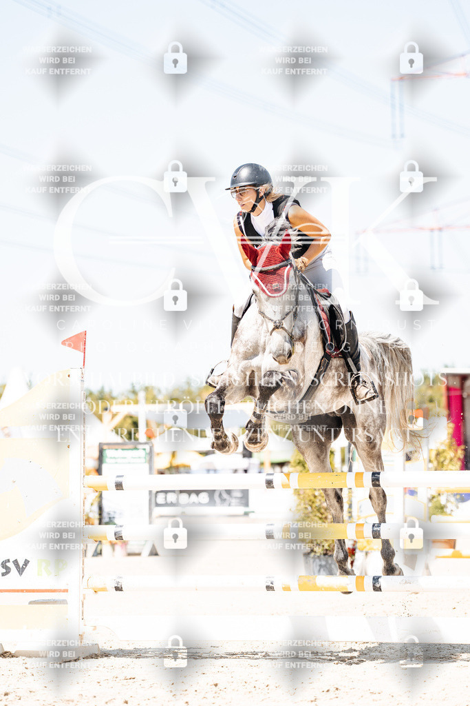 CK909682 | Turnierfotografie Pferdefotografie Trier Rheinland-Pfalz Pferdesport Reitsport Tierfotografie Sportfotografie Pferdevideo Pferdevideografie Equestrianvideography equestrianphotography  - Realisiert mit Pictrs.com