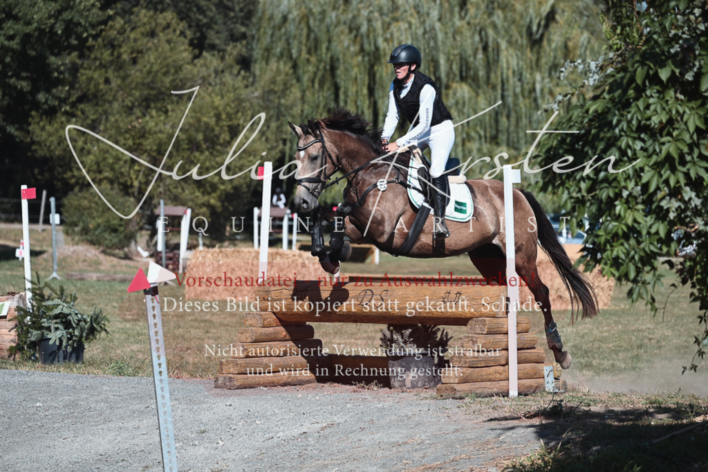 DSC_8694-2 | Pferde- und Turnierfotografie in Westsachsen. Pferdeportraits, Auftragszeichnungen und intuitive Kunst.